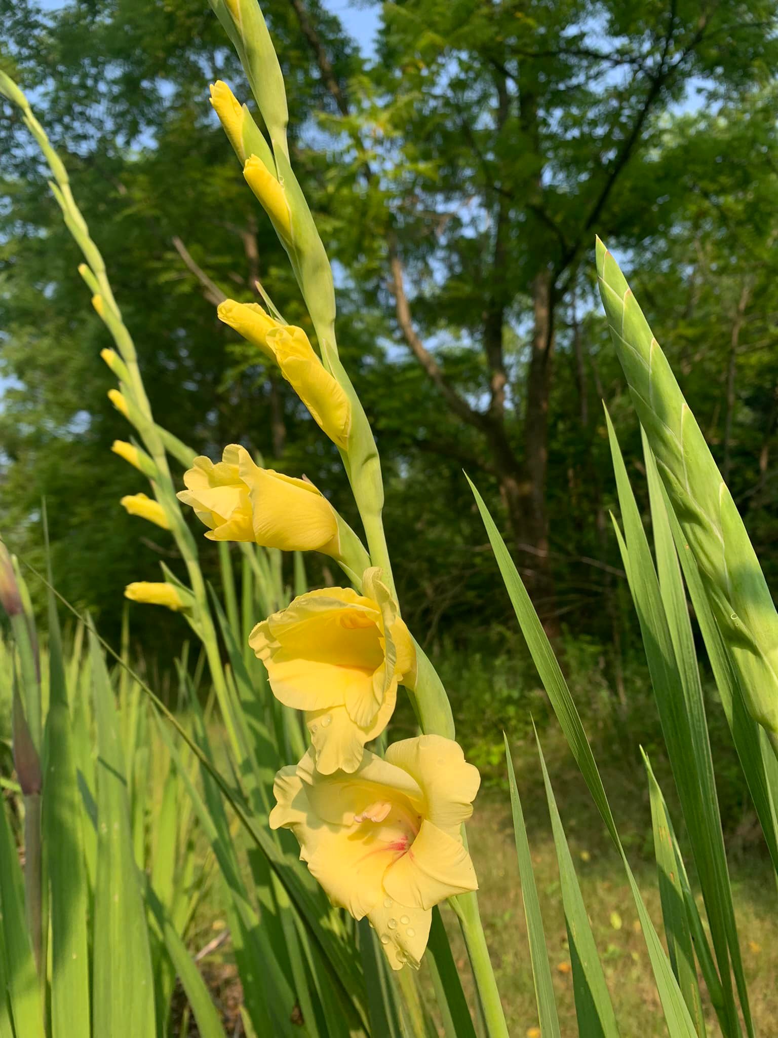 Creekside Valley Farm | Fonthill ON