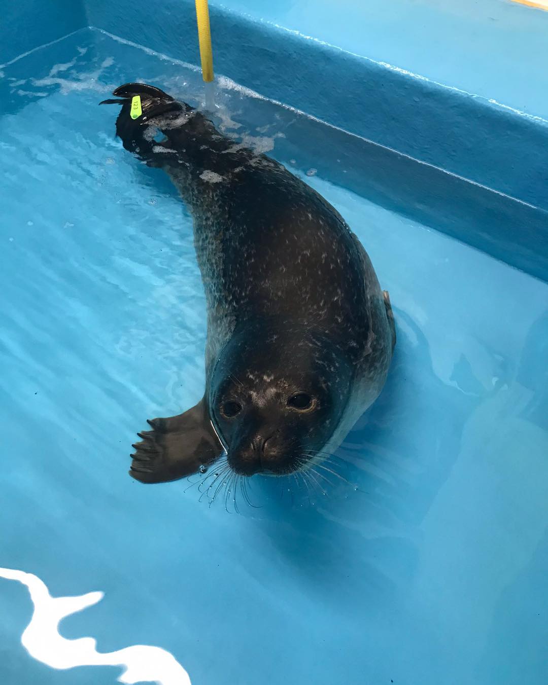 Exploris Aquarium | Newtownards