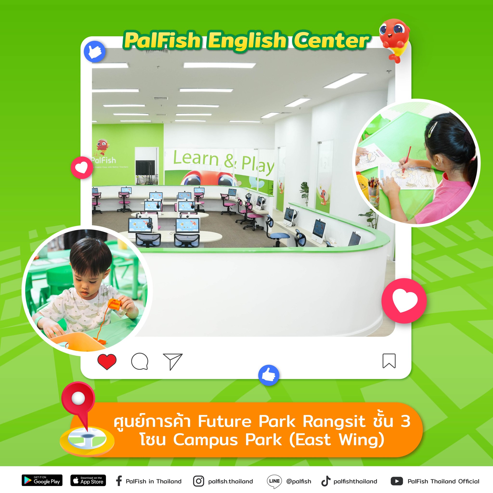 PalFish in Thailand added a new photo. - PalFish in Thailand