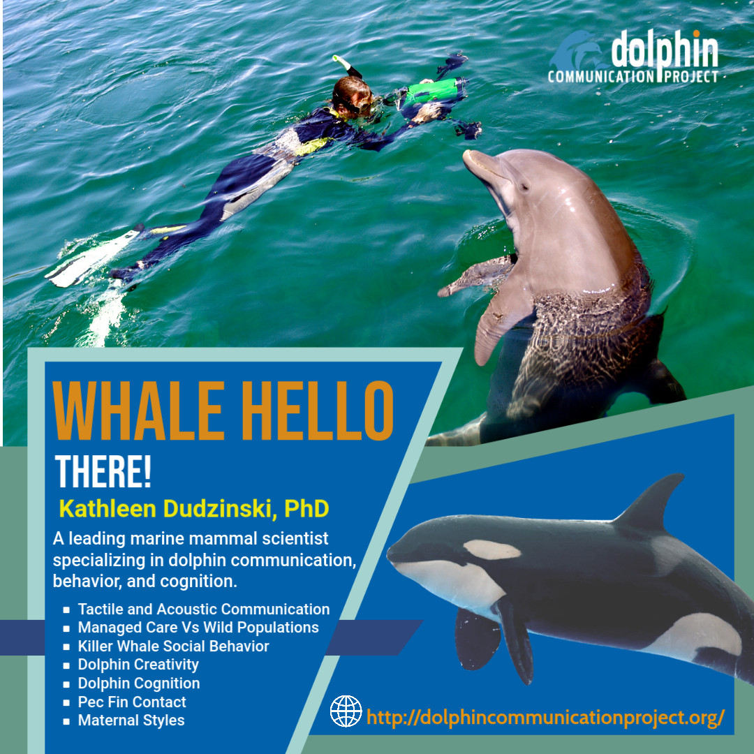 Dolphin - Wondering who our fearless leader is? It's DCP's founder ...