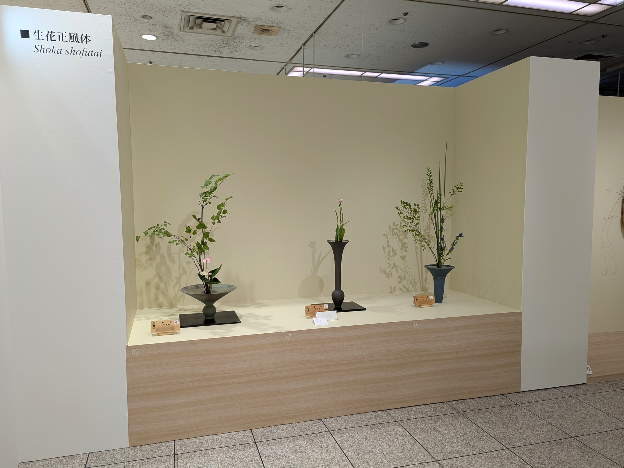 いけばな池坊 ikebana - 木蓮（生花正風体） 牡丹籠に。 生花別伝の