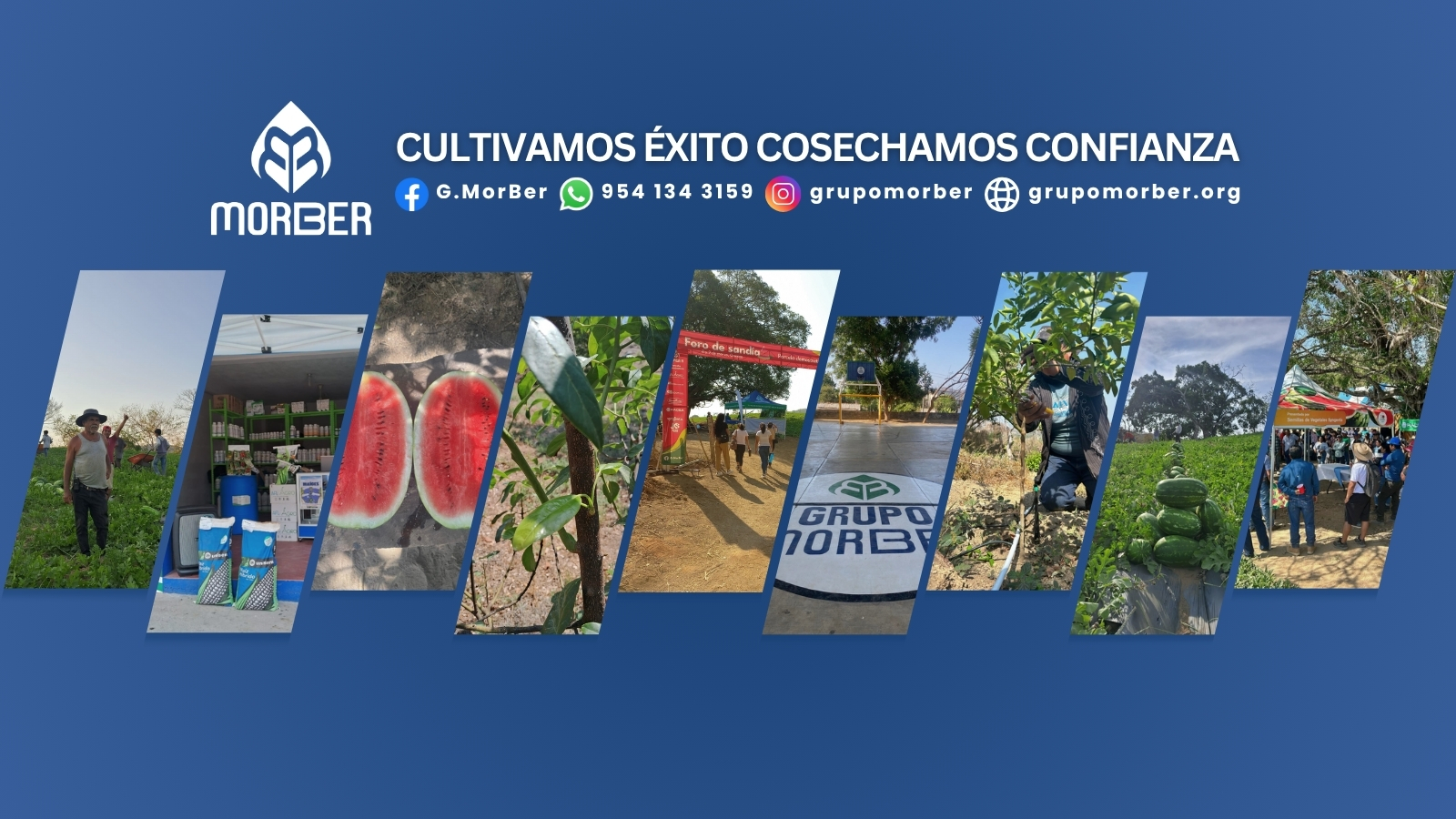 Bioseven de México added a new photo. - Bioseven de México