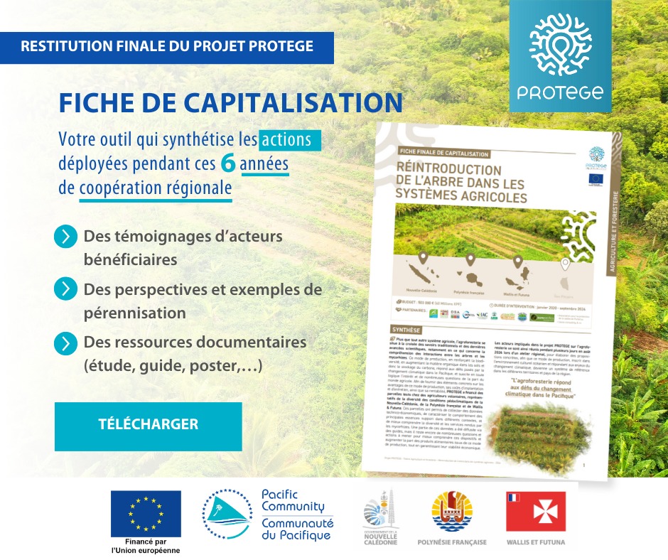 🌱🌳 Choisissons l’agroforesterie... - Pacific-Community-SPC | Facebook
