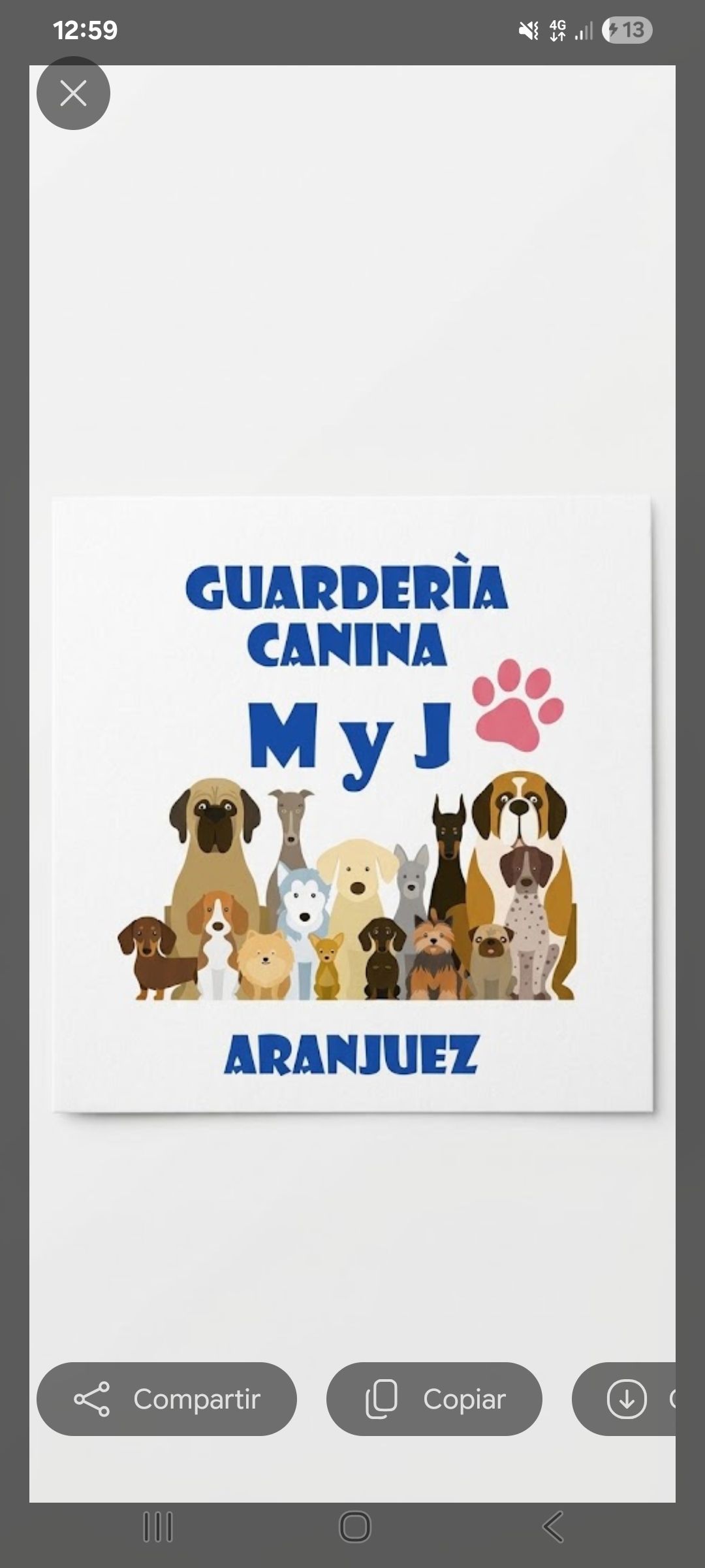 Guardería canina M y J | Aranjuez