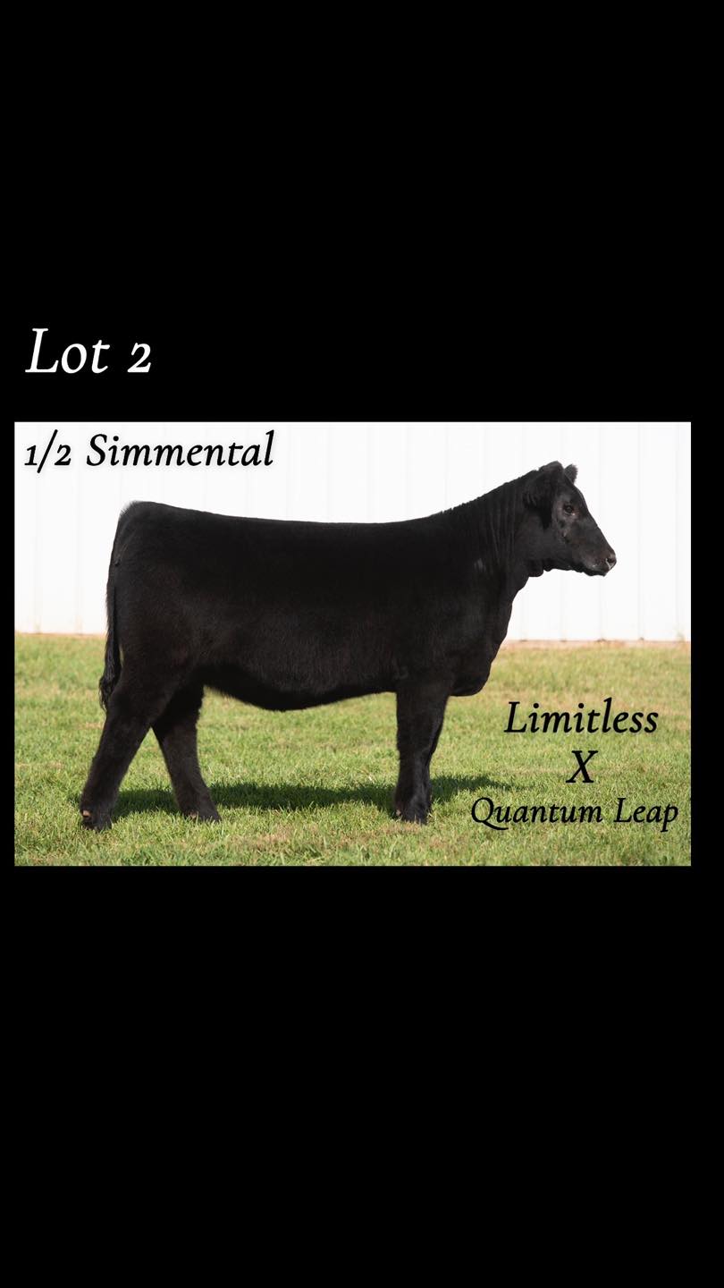 Butler Farms Show Cattle | Inwood WV