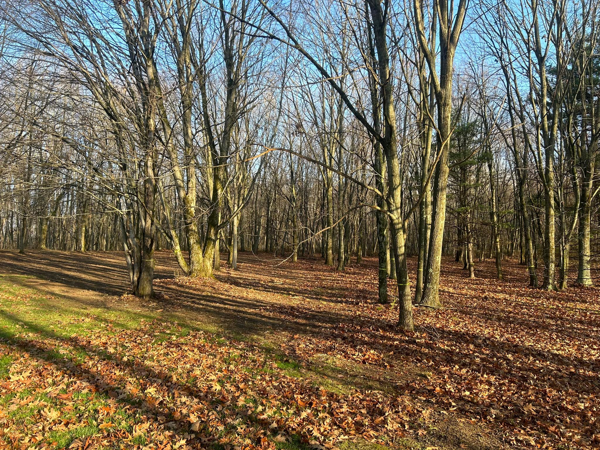 Top Notch Tree Service | West Sunbury PA