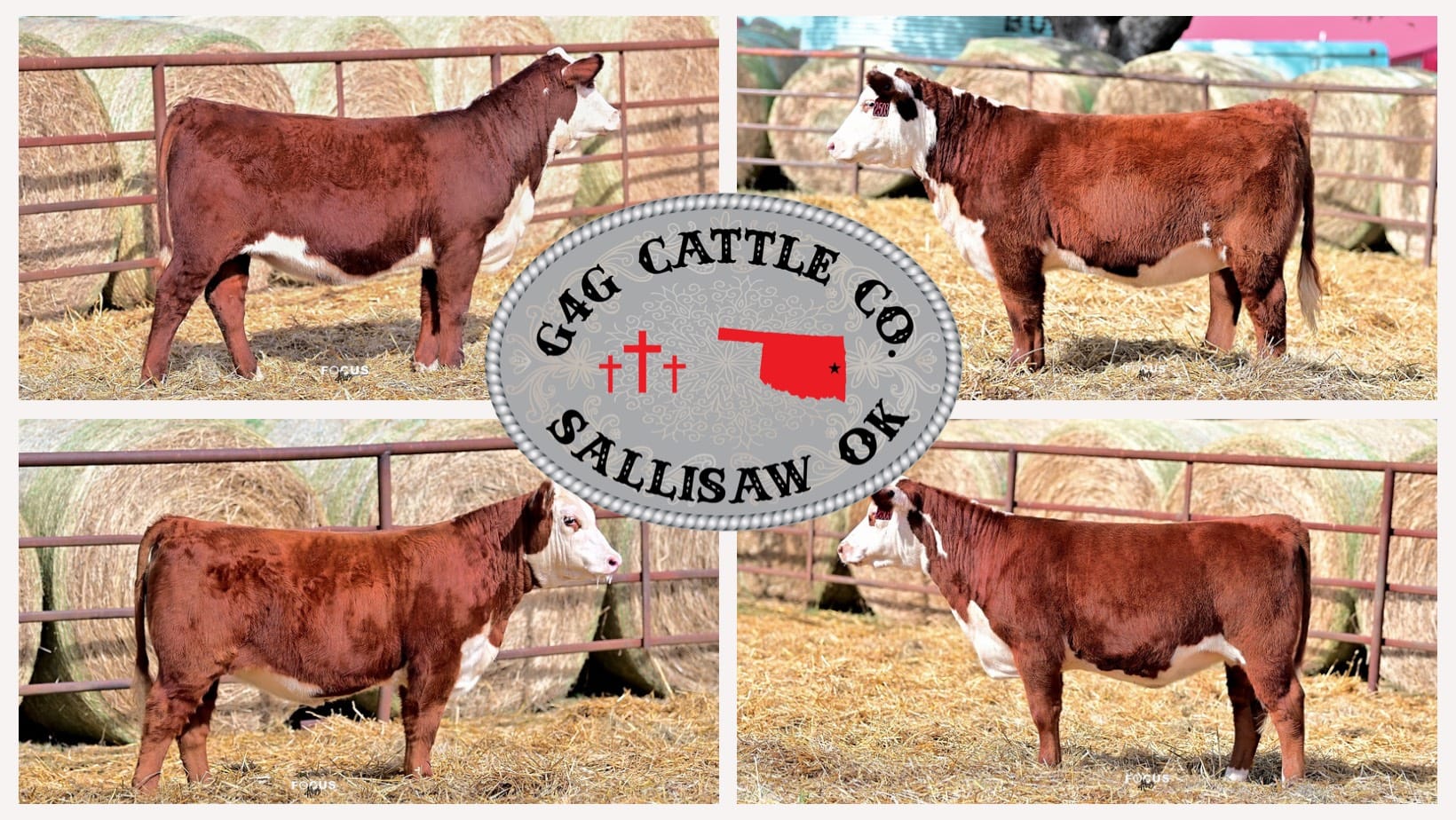 G4G Cattle Co. | Sallisaw OK