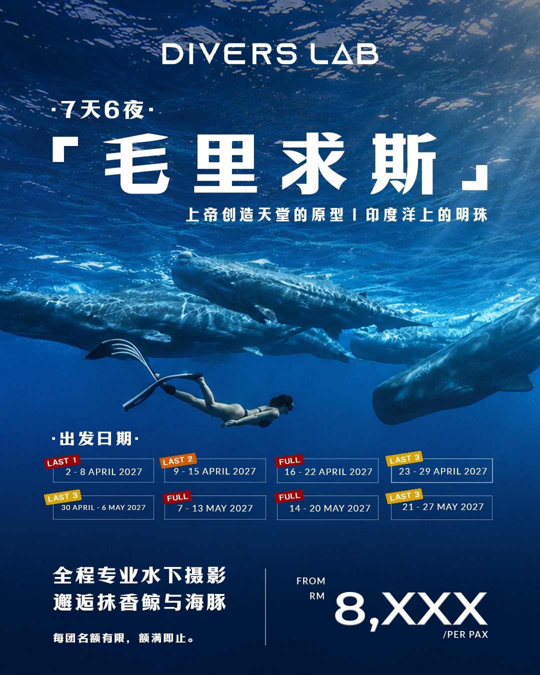 🇲🇺 7D6N 毛里求斯｜在深蓝中感受巨兽的震撼🐳 📅 2027年4月至5月多个