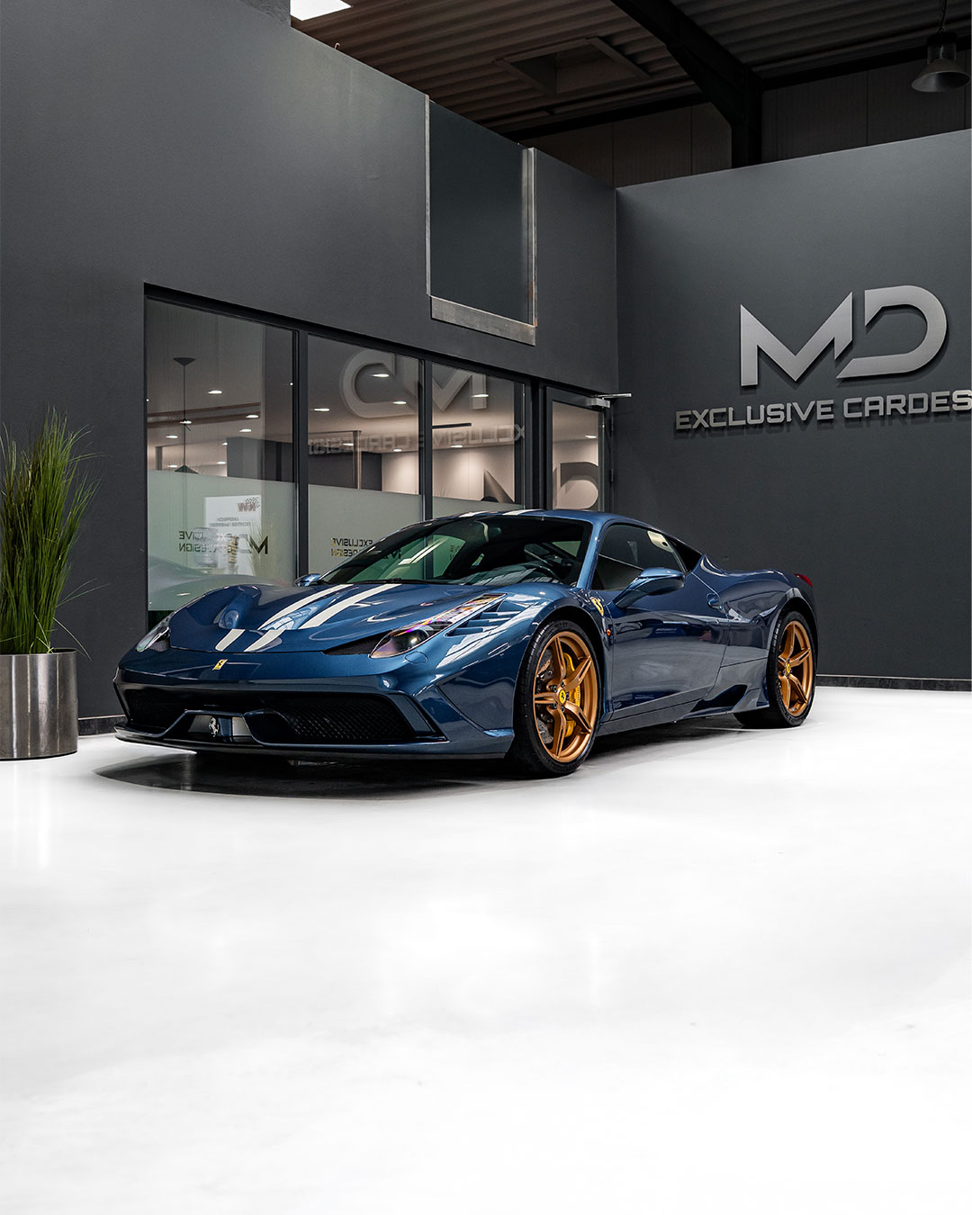 Md Exclusive Cardesign