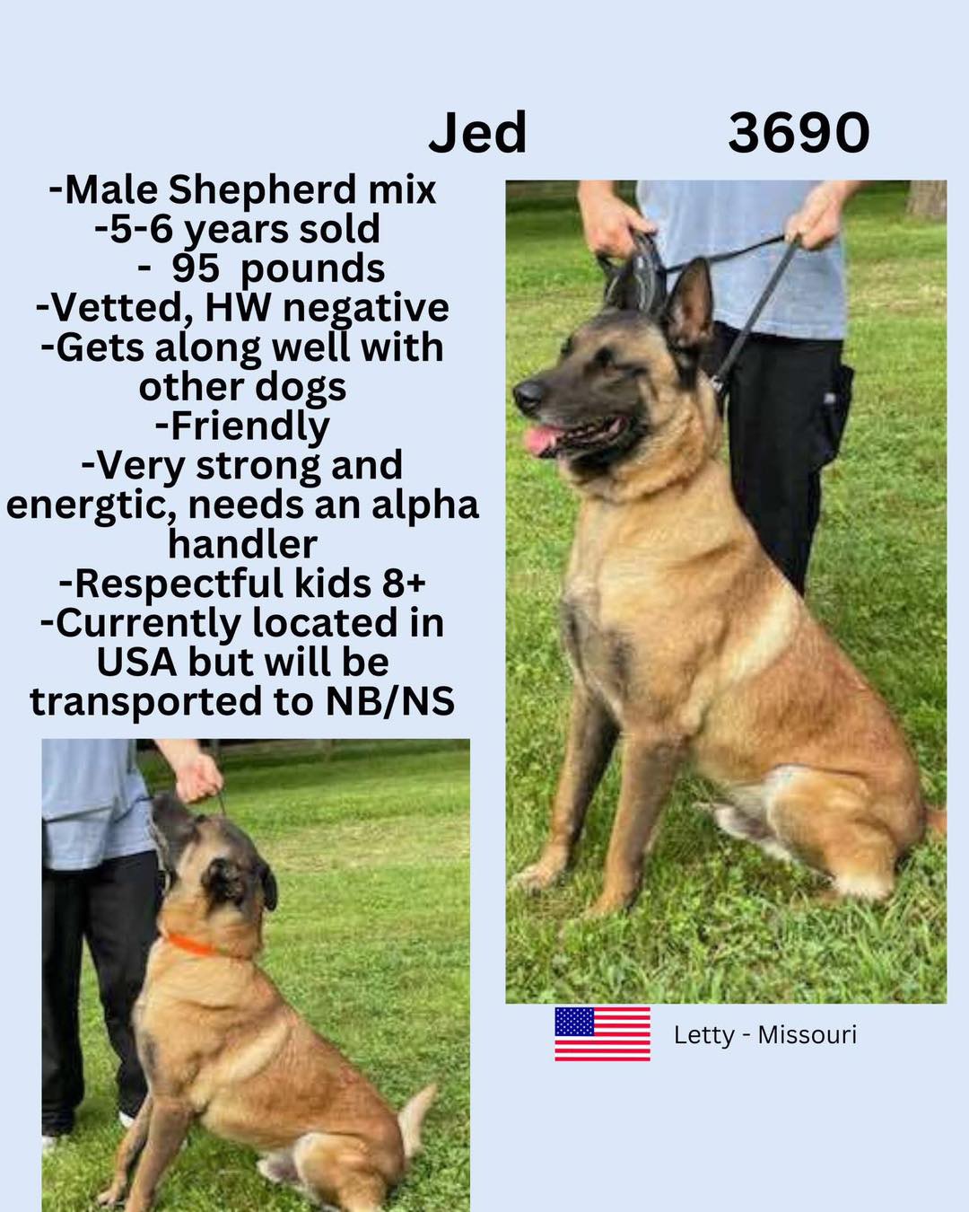 US Rescue Dog FANS Club (Foster and Adopt, Nova Scotia) | Facebook