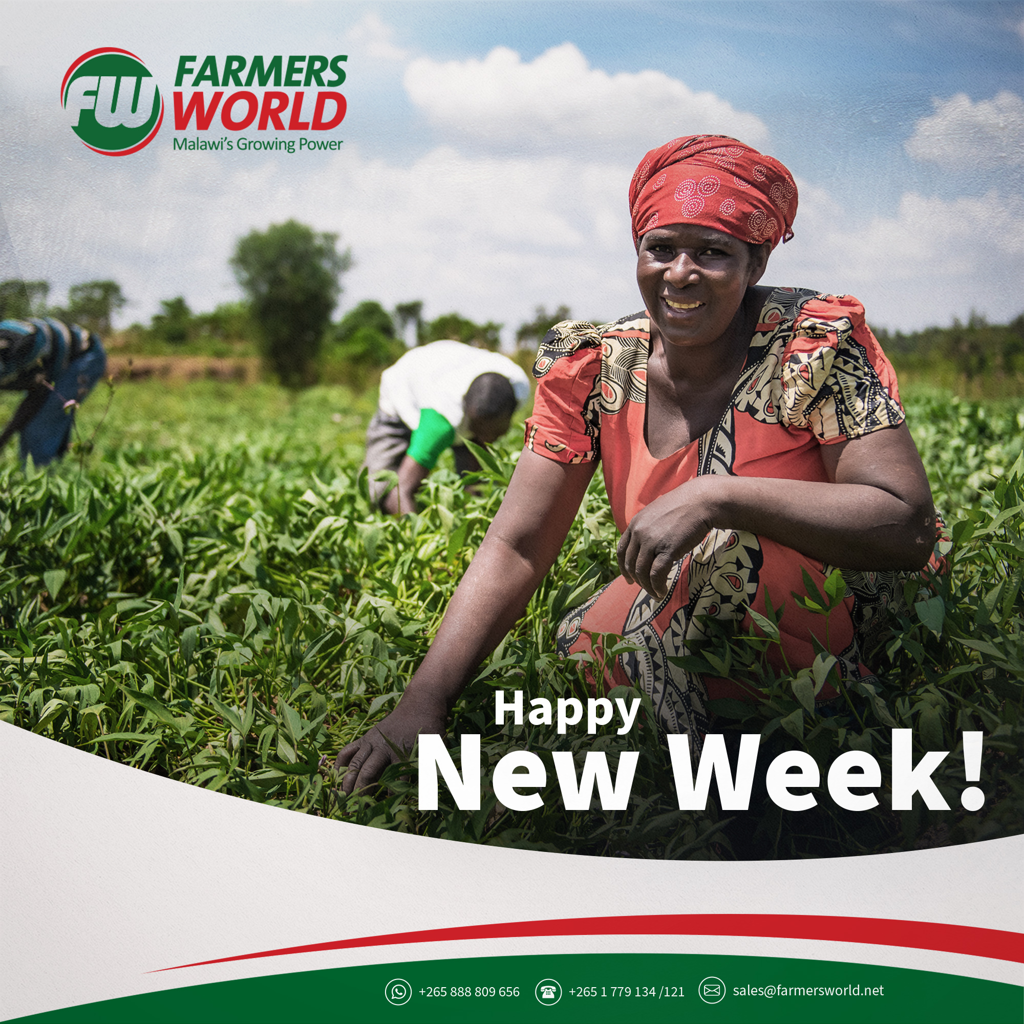 Farmers World - 🌽 Happy New Week, Farmers! 🌞 The fields... | Facebook