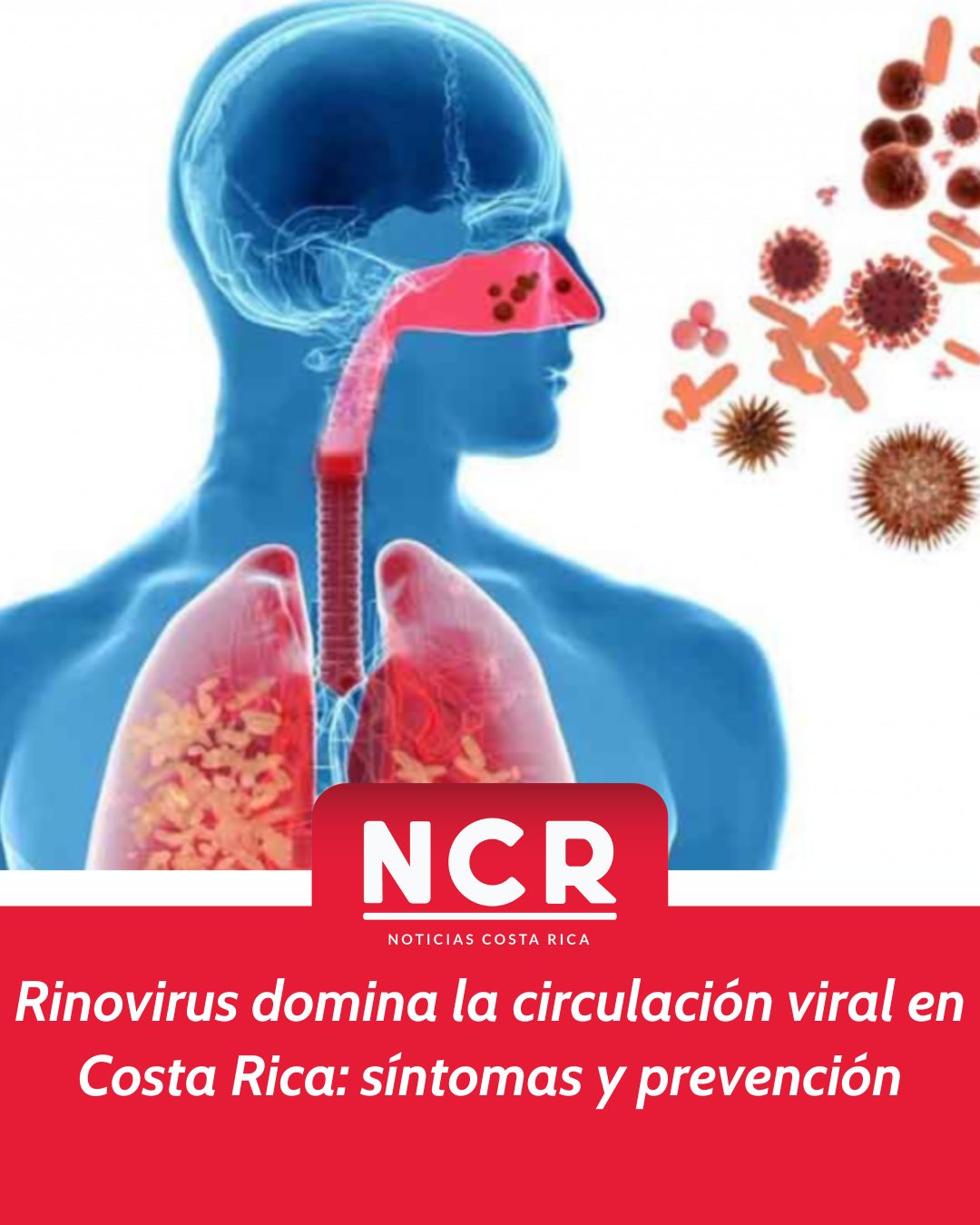 NCR - Detalles: https://ncrnoticias.com/nacionales/rinovirus-domina-la ...