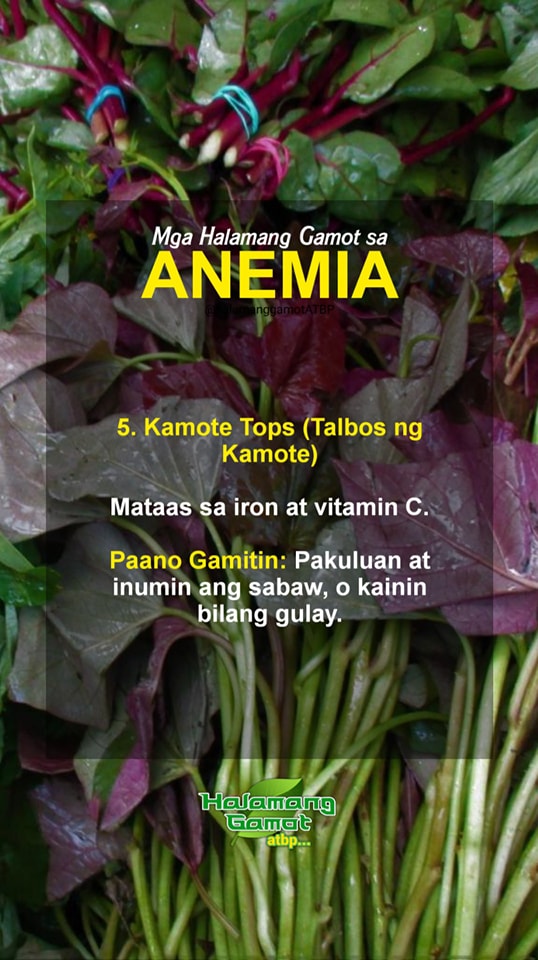 Halamang Gamot - Halamang Gamot added a new photo.