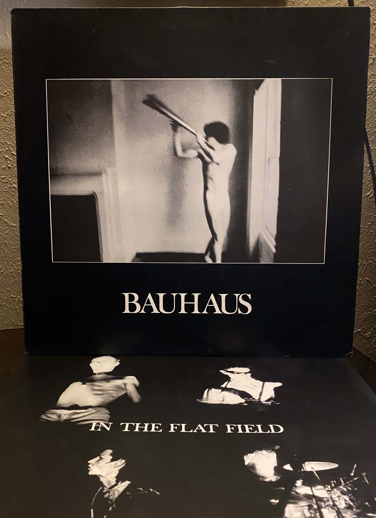 On this day in 1980, Bauhaus released “In the Flat Field.”