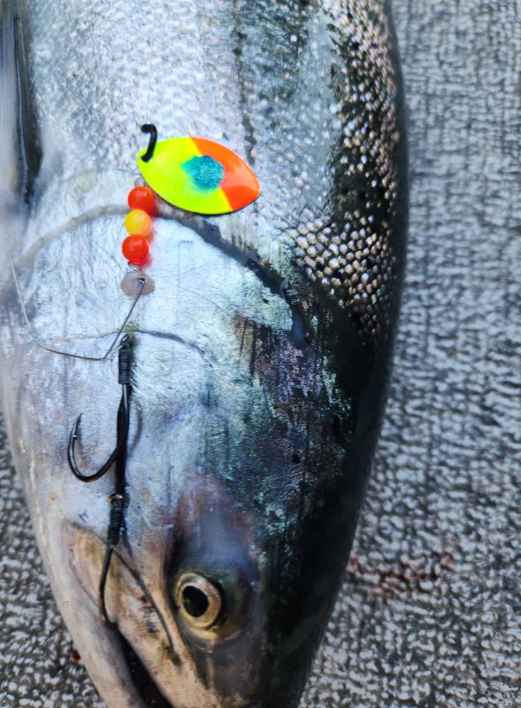 backpack size for 2 months travel Tortuga Pro 40L Black 0 - 1 and an ergonomic suspension PENN Legendary Saltwater Spinning Color:7” - Perch
