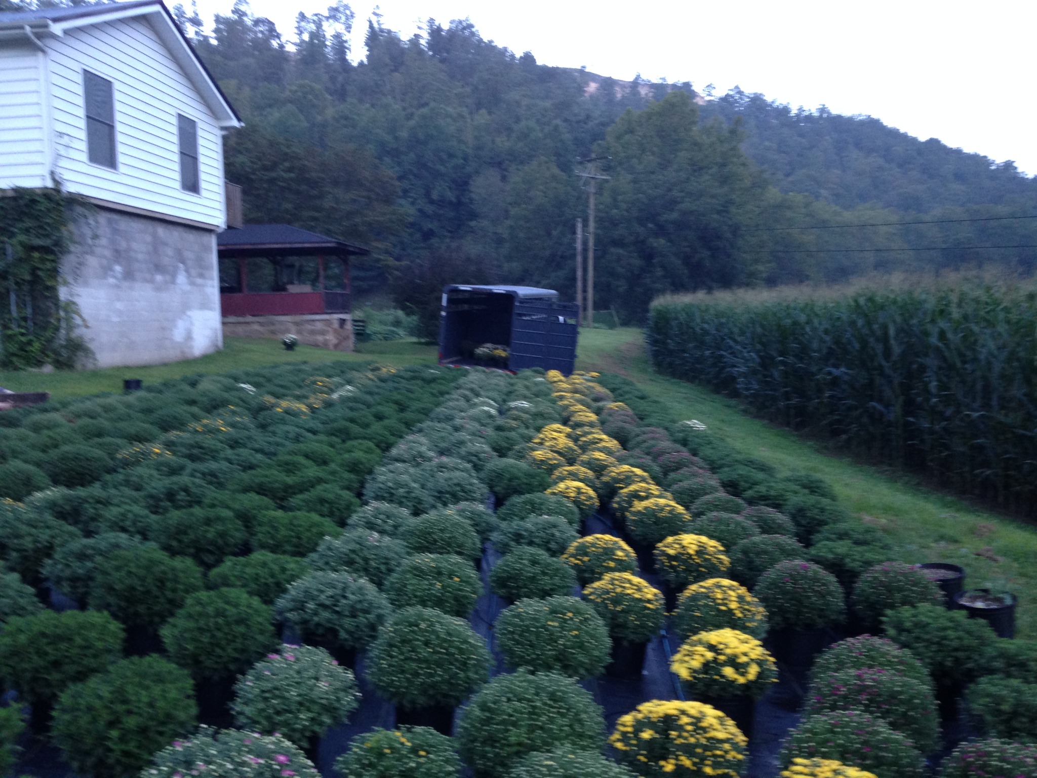 Holliday Farm and Garden | Hazard KY