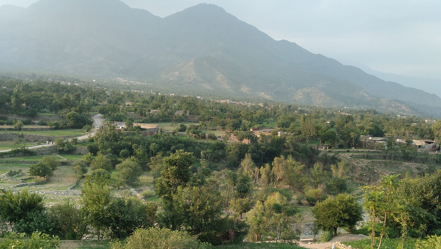 Rasool m | Peshawar
