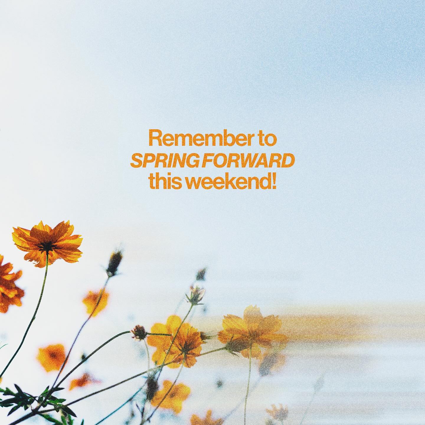 First - #springforward | Facebook