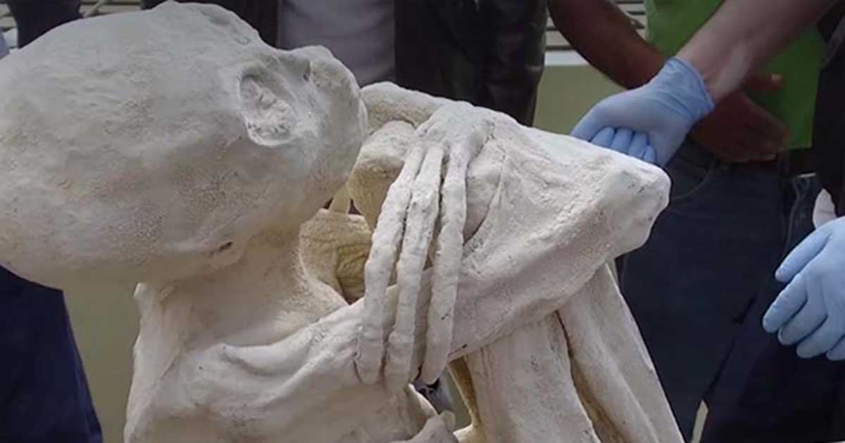 Ancient - AO THROWBACK - A remarkable mummified body has been ...