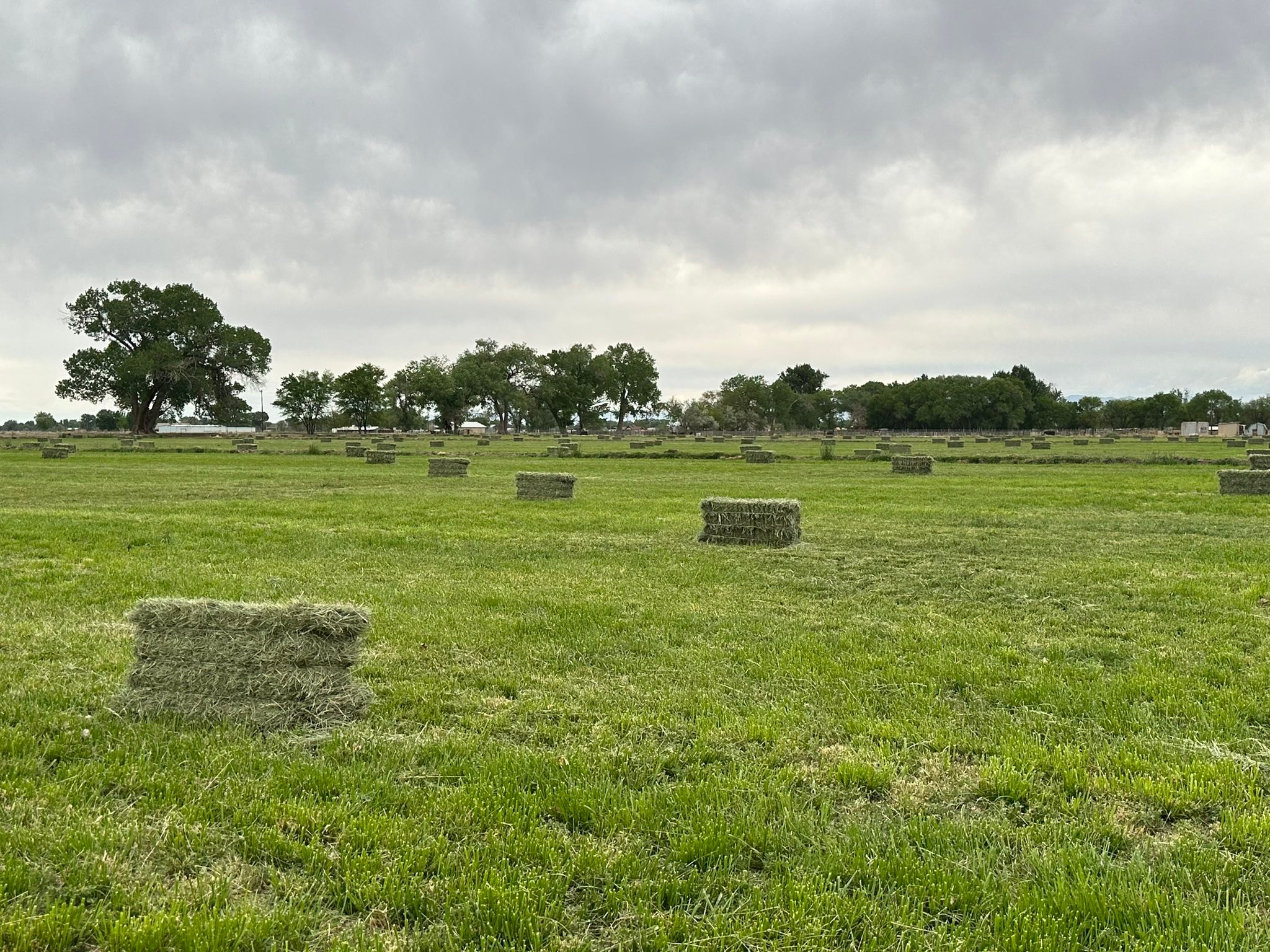 Rolling Horse Ranch | Fallon NV