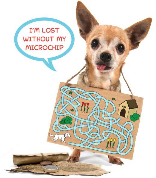 🎉 The RESULTS are in for... - Arizona Animal Rescue Mission | Facebook