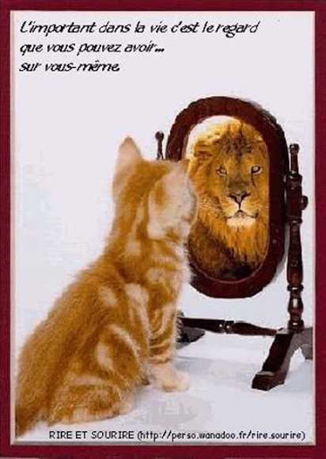 Miroiterie So Proverre Facebook
