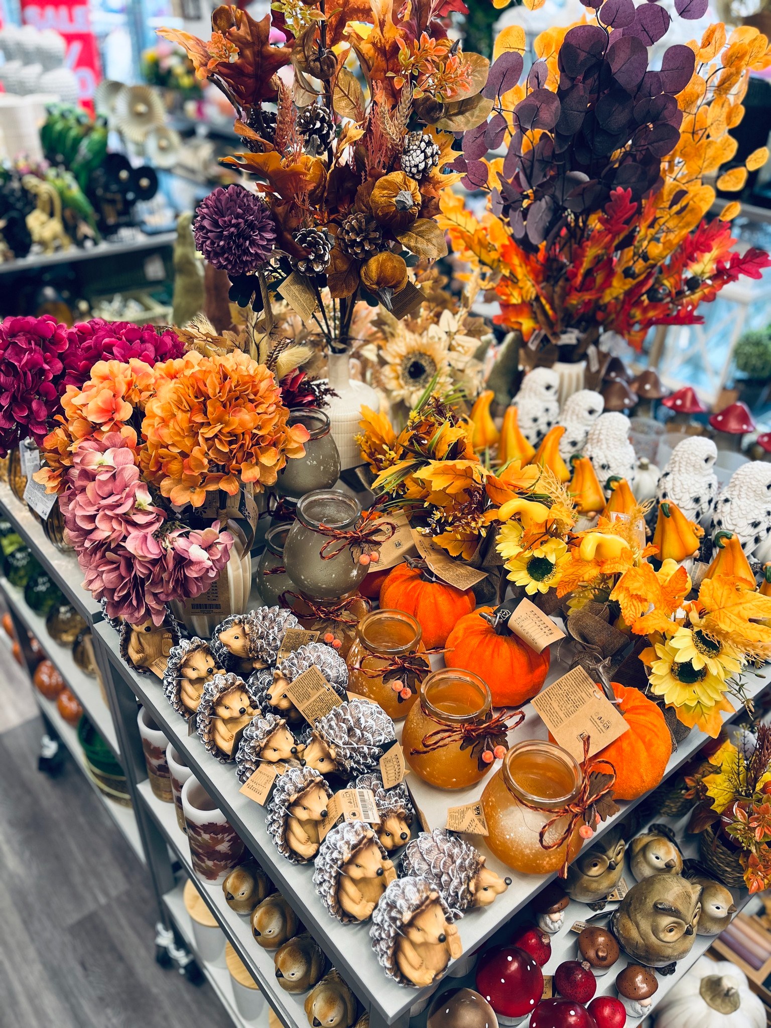☀️🌻 Sommer draußen – Herbst drinnen! 🍂🦉 Auch wenn die Sonne gerade nochmal alles gibt: Unsere herbstliche Deko ist schon da und wartet auf dich! Von kuscheligen Farben über süße Wichtel bis zu stimmu