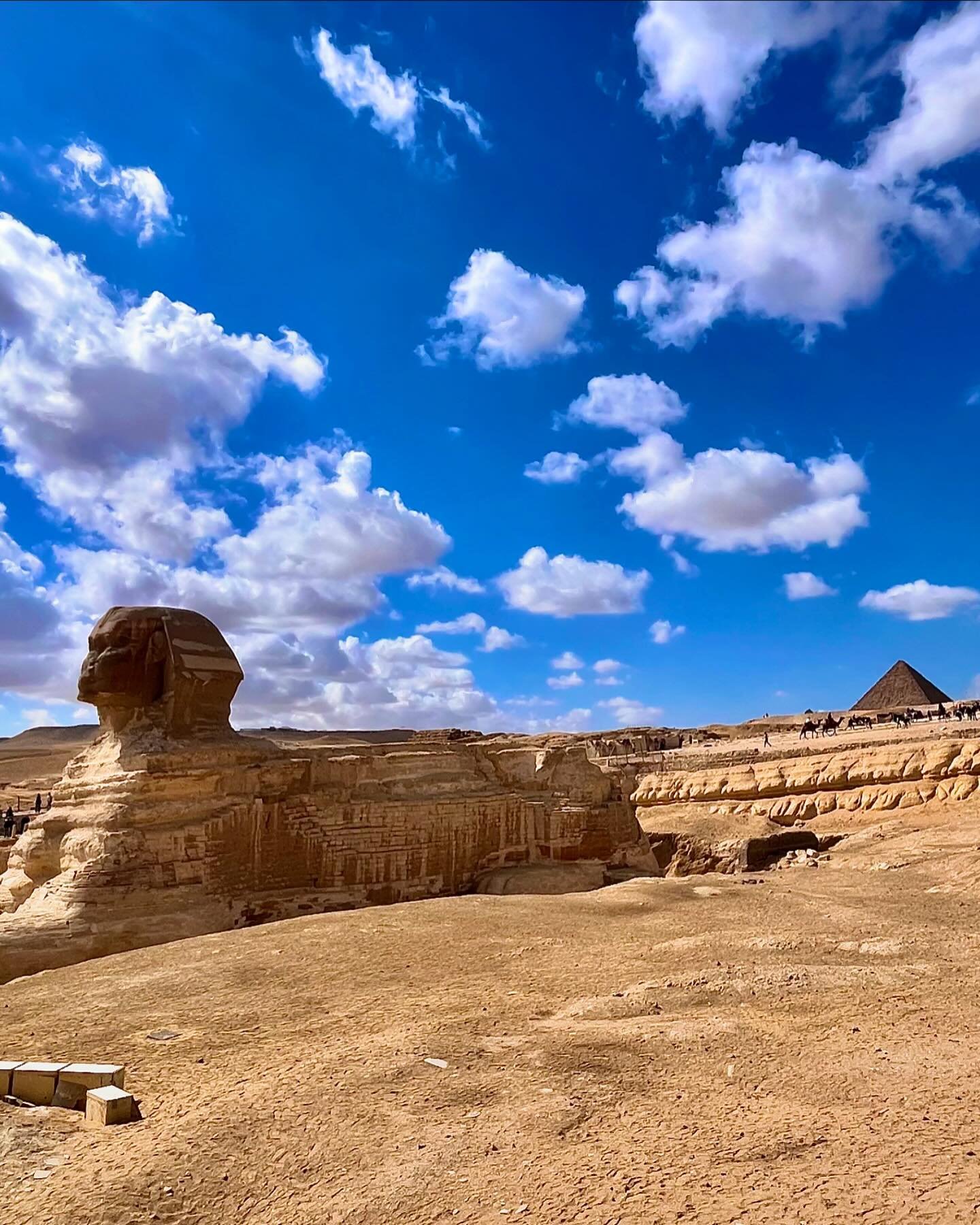 Egypt Land of the Pharaohs - statues of the Great Temple of Ramesses II ...