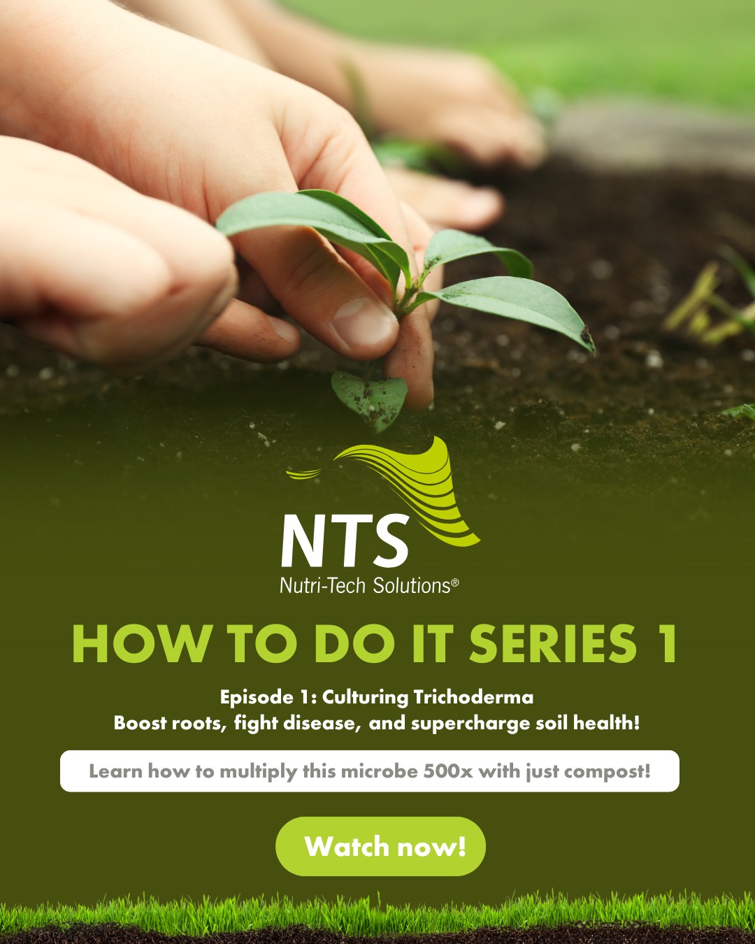 Nutri-Tech - 🌱 How to Do It Series 1 | Episode 1: Culturing Trichoderma ...