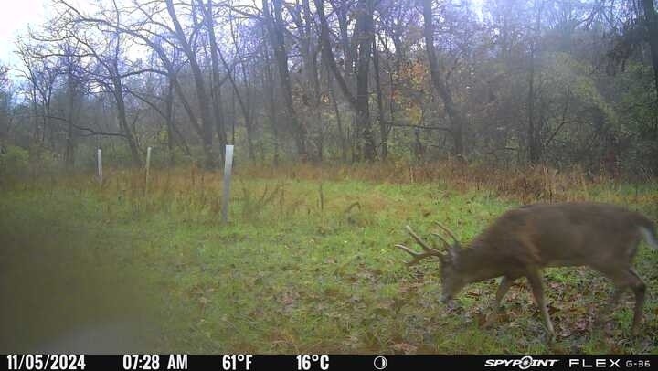 Strut & Rut Trail Cam Central | Arenzville IL