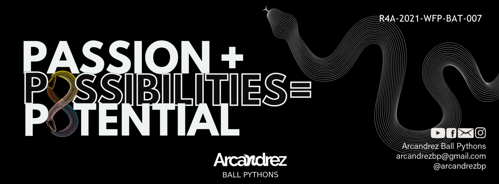 Arcandrez Ball Pythons | Lipa City