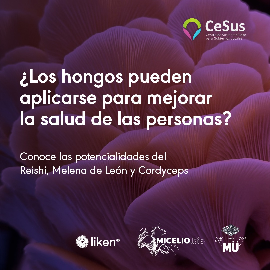 Centro de... - Centro de Sustentabilidad - CeSus