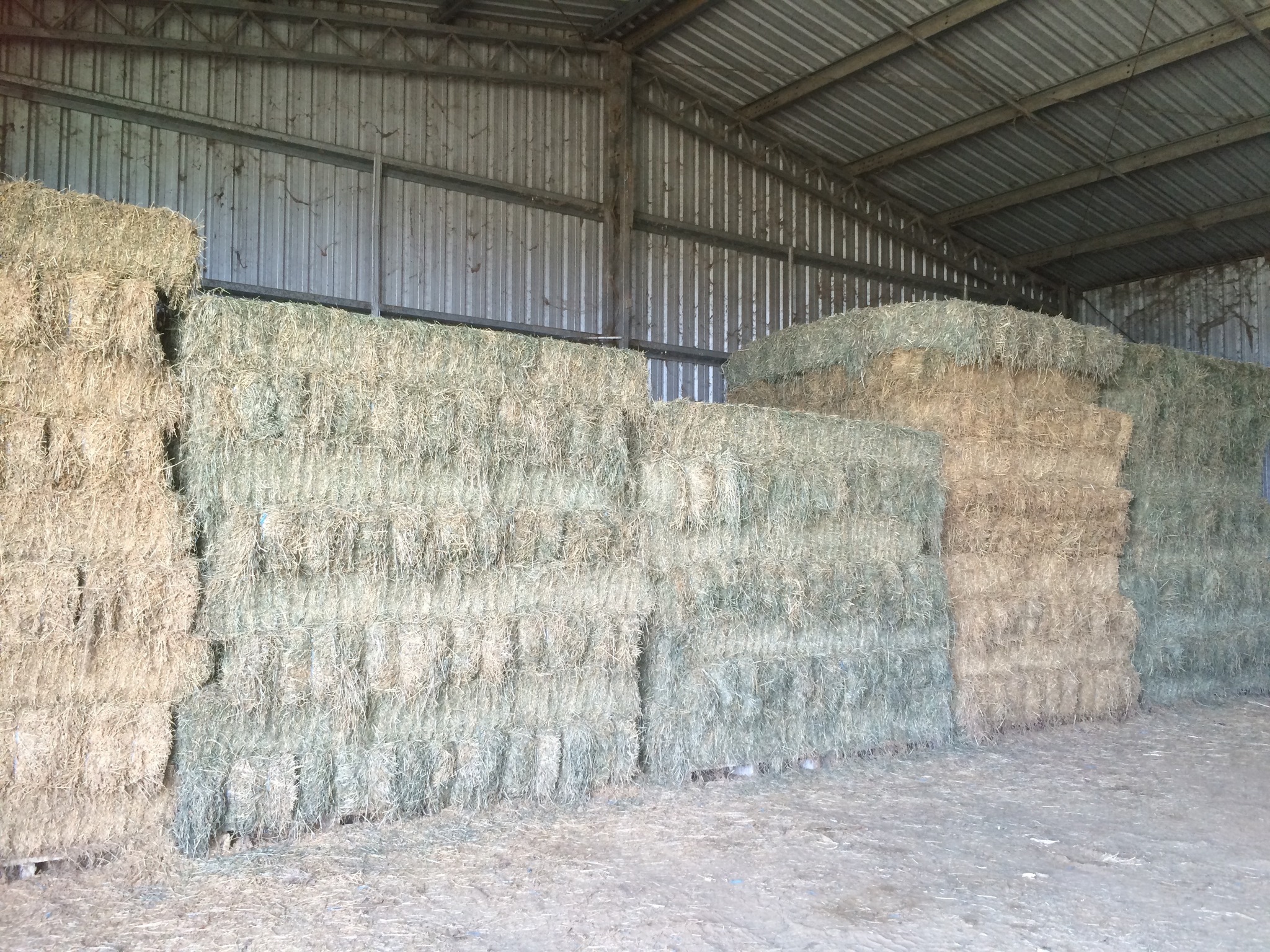Farmalogic - You cannot estimate the sugar and starch level of hay ...