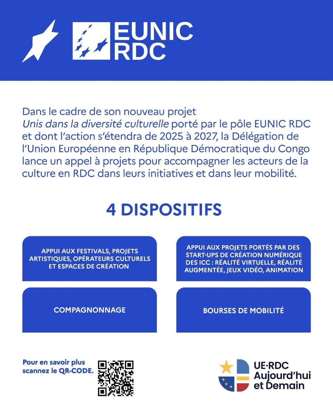 📢 APPEL À PROJETS ! EUNIC RDC... - Goethe-Institut Kinshasa | Facebook