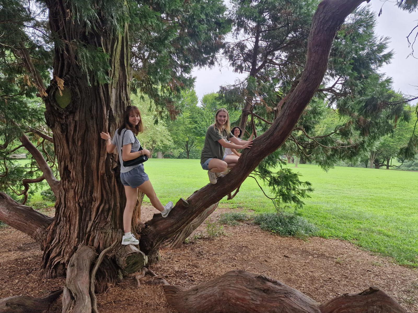 Friends - 🌳💚 It's National Love a Tree Day! 💚🌳 Trees give us fresh air ...