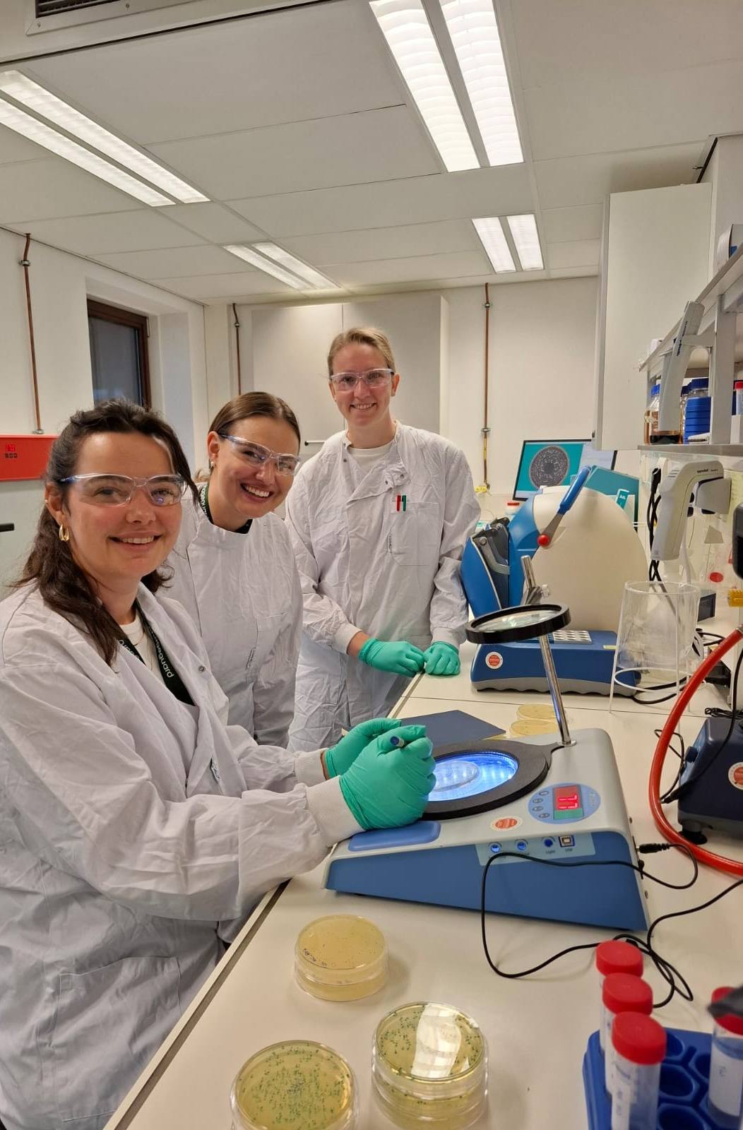 Centre for Food Safety, Stellenbosch University | Stellenbosch