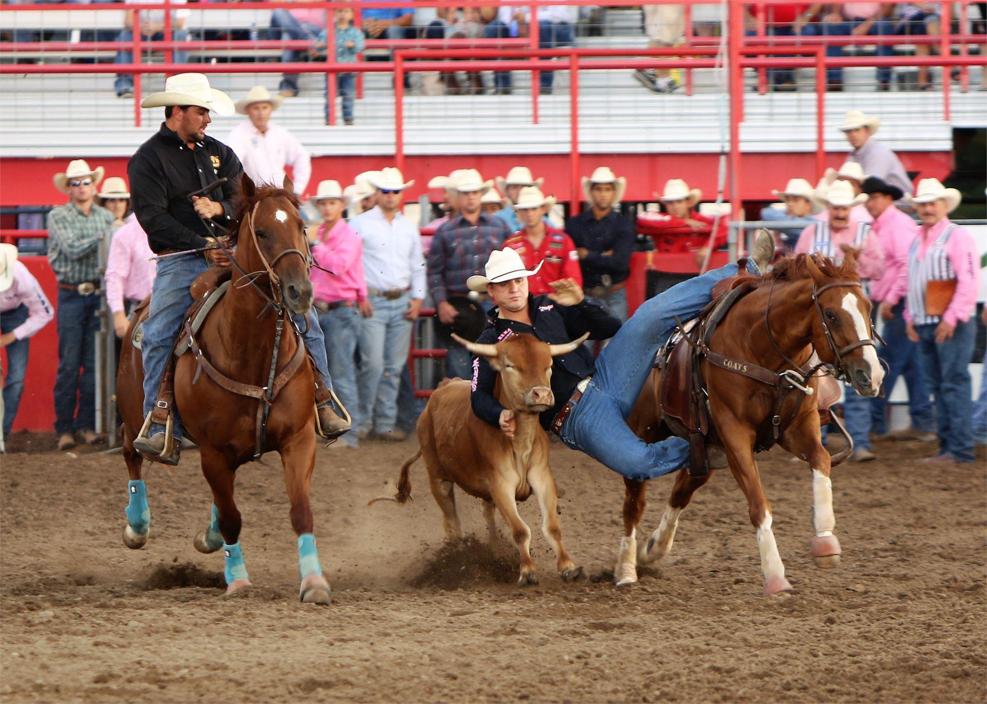 Dodge - In nearly five decades, Dodge City Roundup has evolved from ...