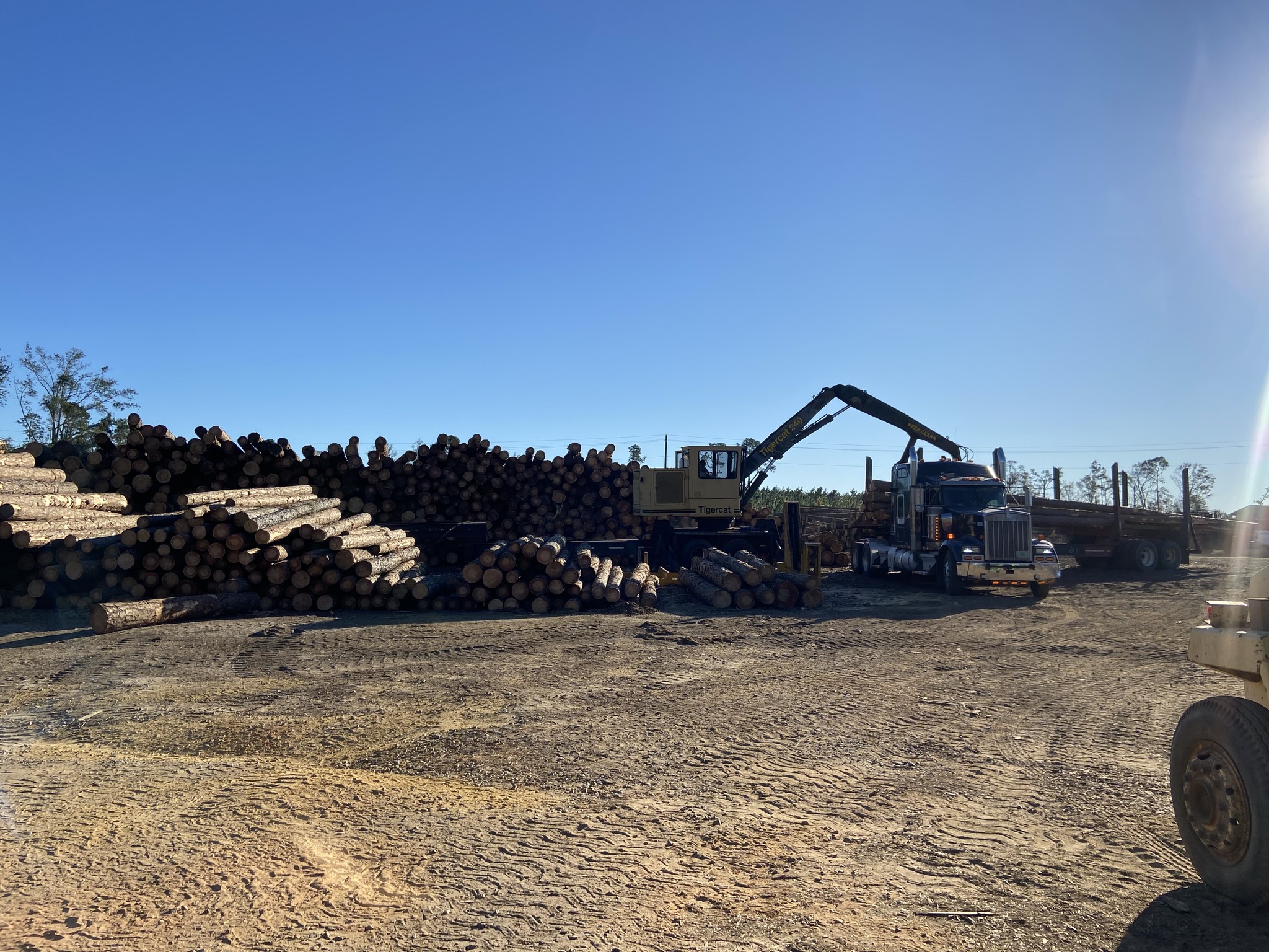 HV & TG Thompson Lumber Company | Ailey GA