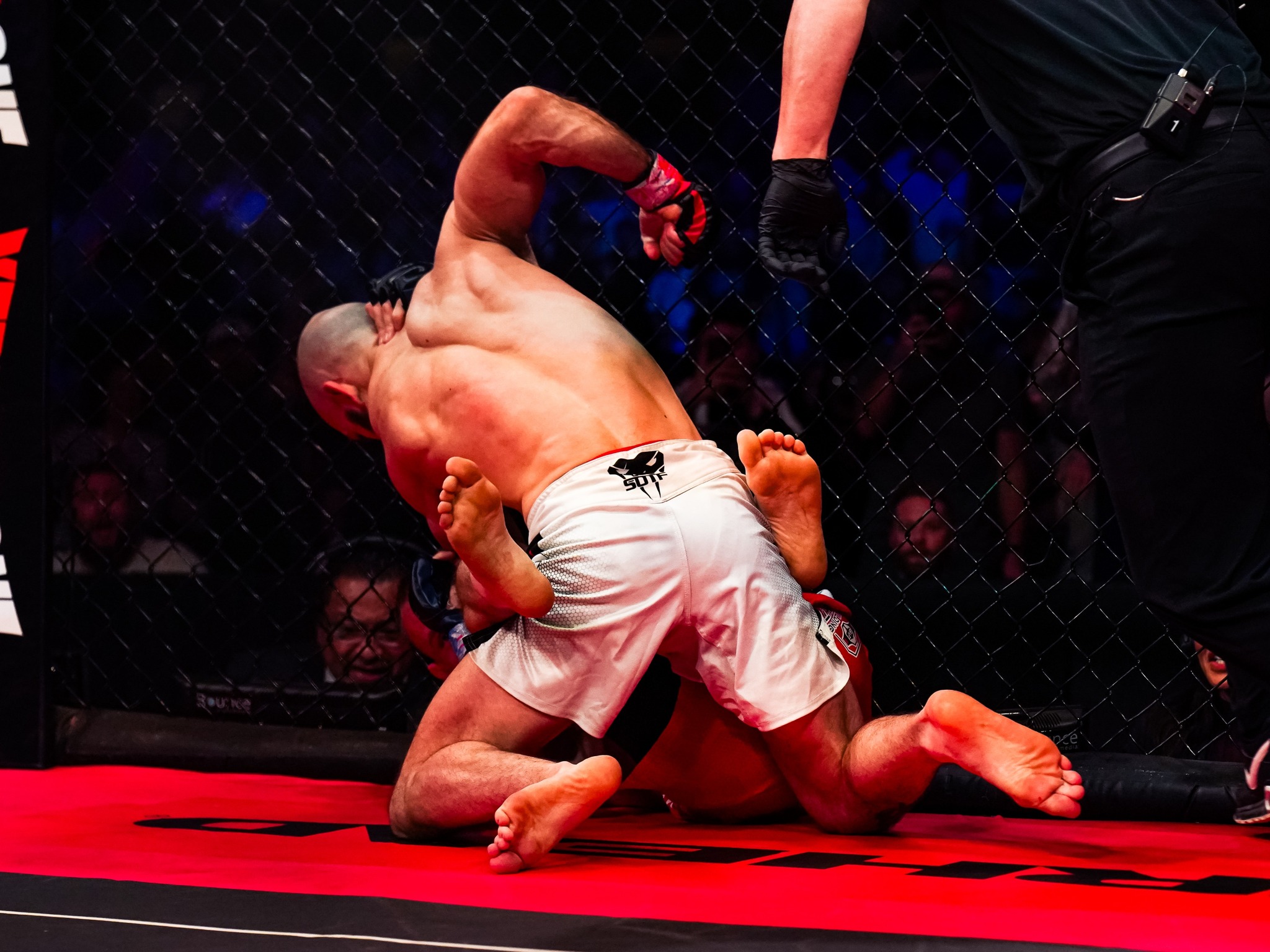 XFC MMA