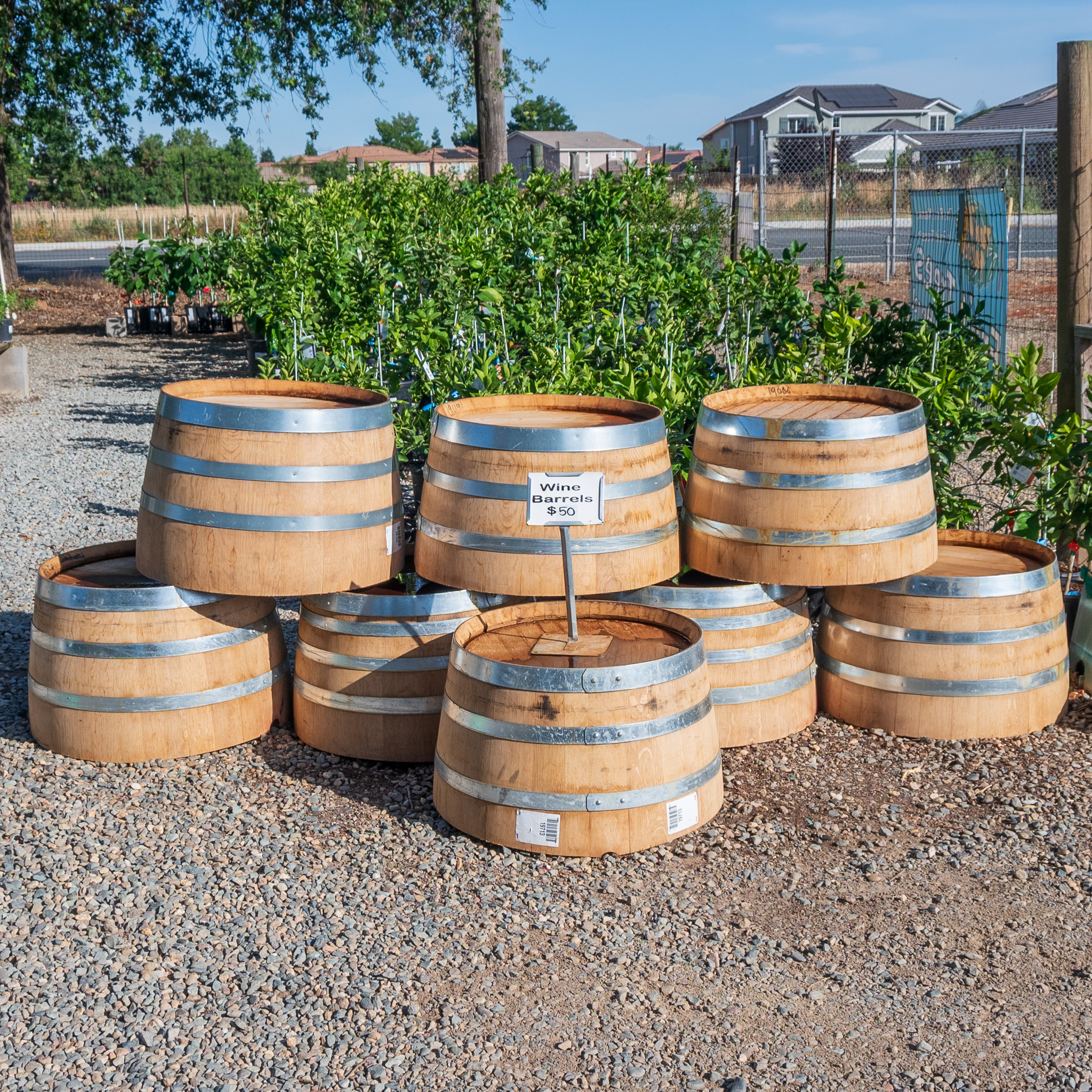 Big Oak Nursery - 🌿🍇 New Wine Barrel Planters have arrived...