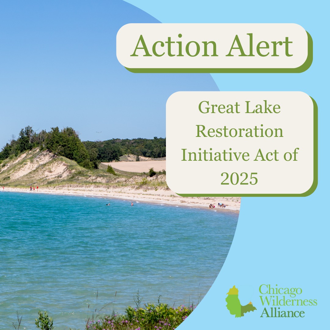 Chicago - The Great Lakes Restoration Initiative (GLRI) is one of the ...