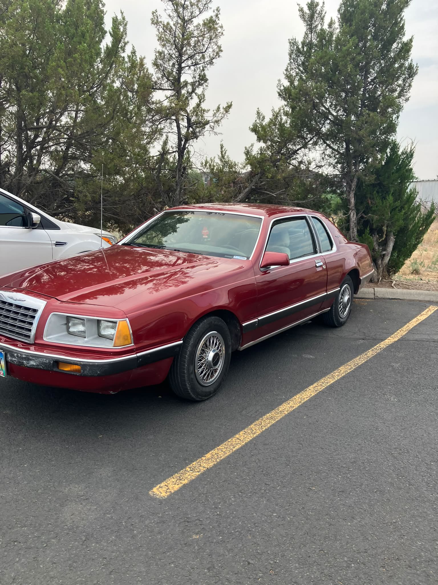 Are 3.8 Essex engines suitable for Thunderbird upgrades?