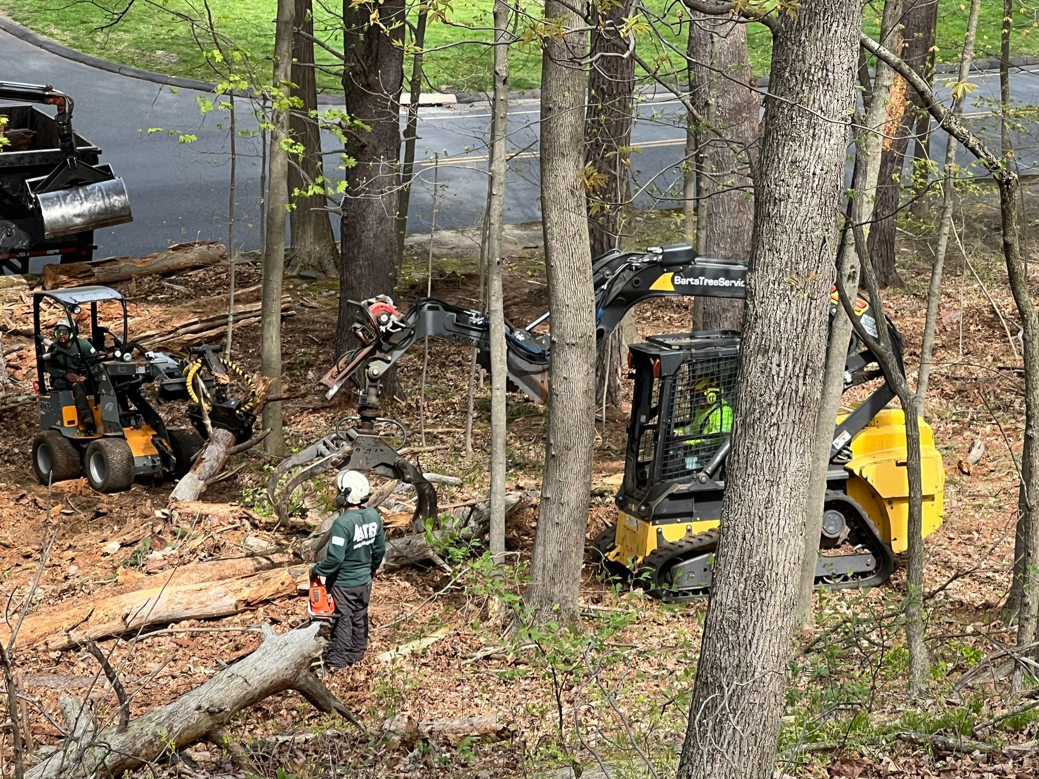 Advanced Tree Removal LLC
