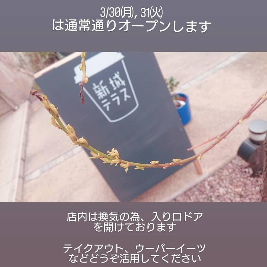 新城テラス 今後の営業に関しましても随時お知らせしていきます 本当にゆっくりと寛げる時が来るように 今は少しでも拡大防止になる行動を意識 しなければと 日々状況の変わる中で考えるばかりです 皆様もどうぞご自愛ください Facebook