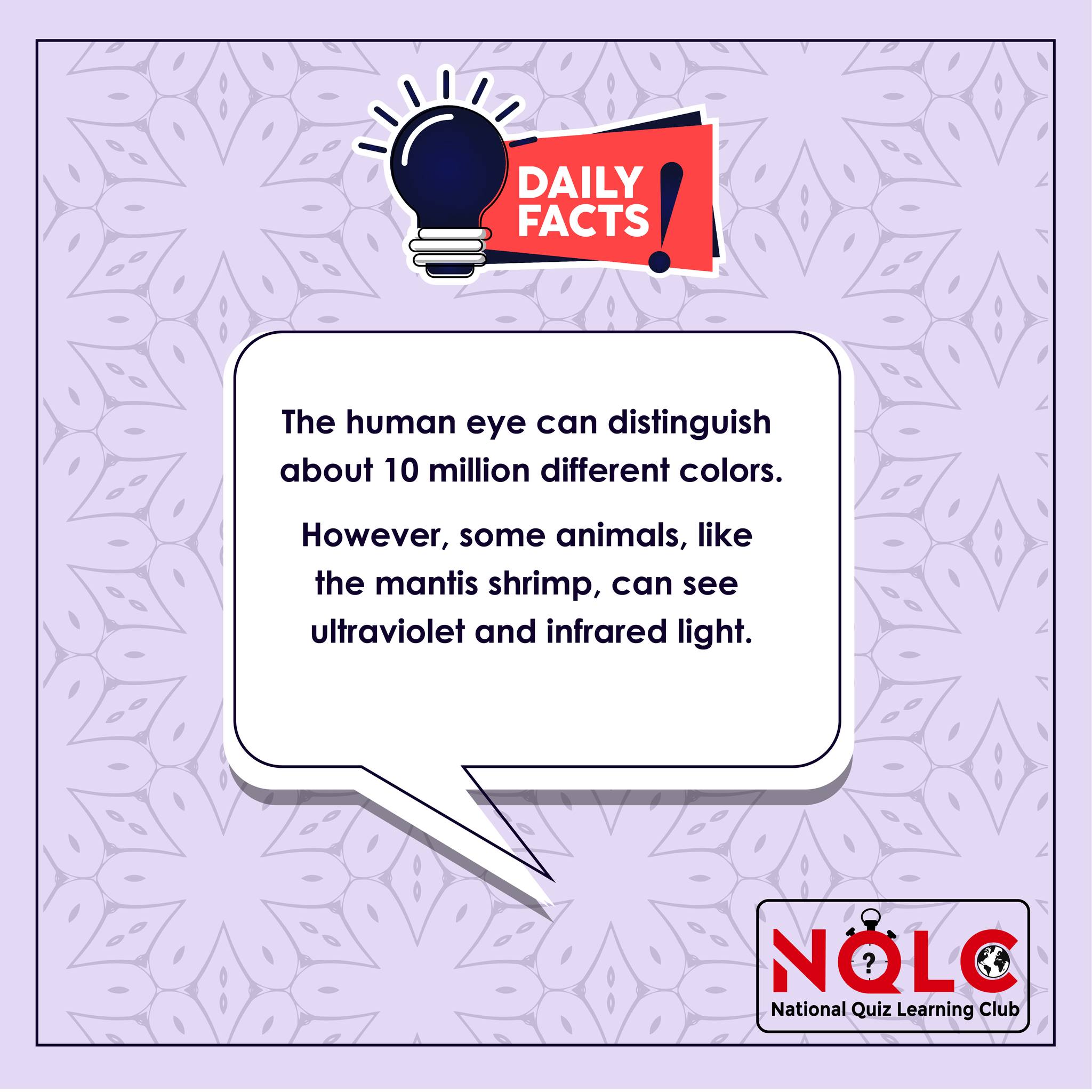 The world is full of... - National Quiz Learning Club-NQLC | Facebook