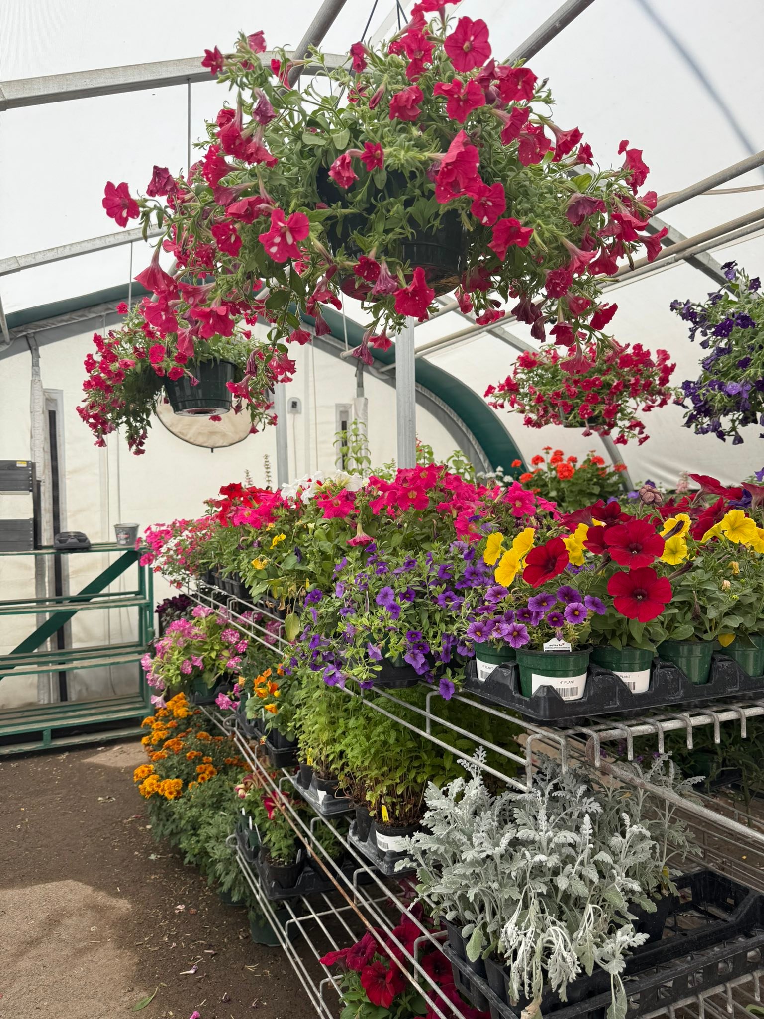 Roswell Livestock & Farm Supply | Roswell NM