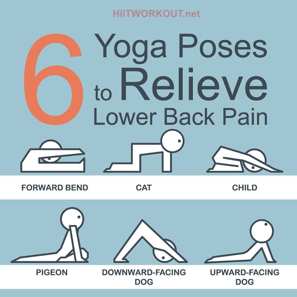Hiit Workout - 40 Yoga poses to relieve lower back pain  Facebook