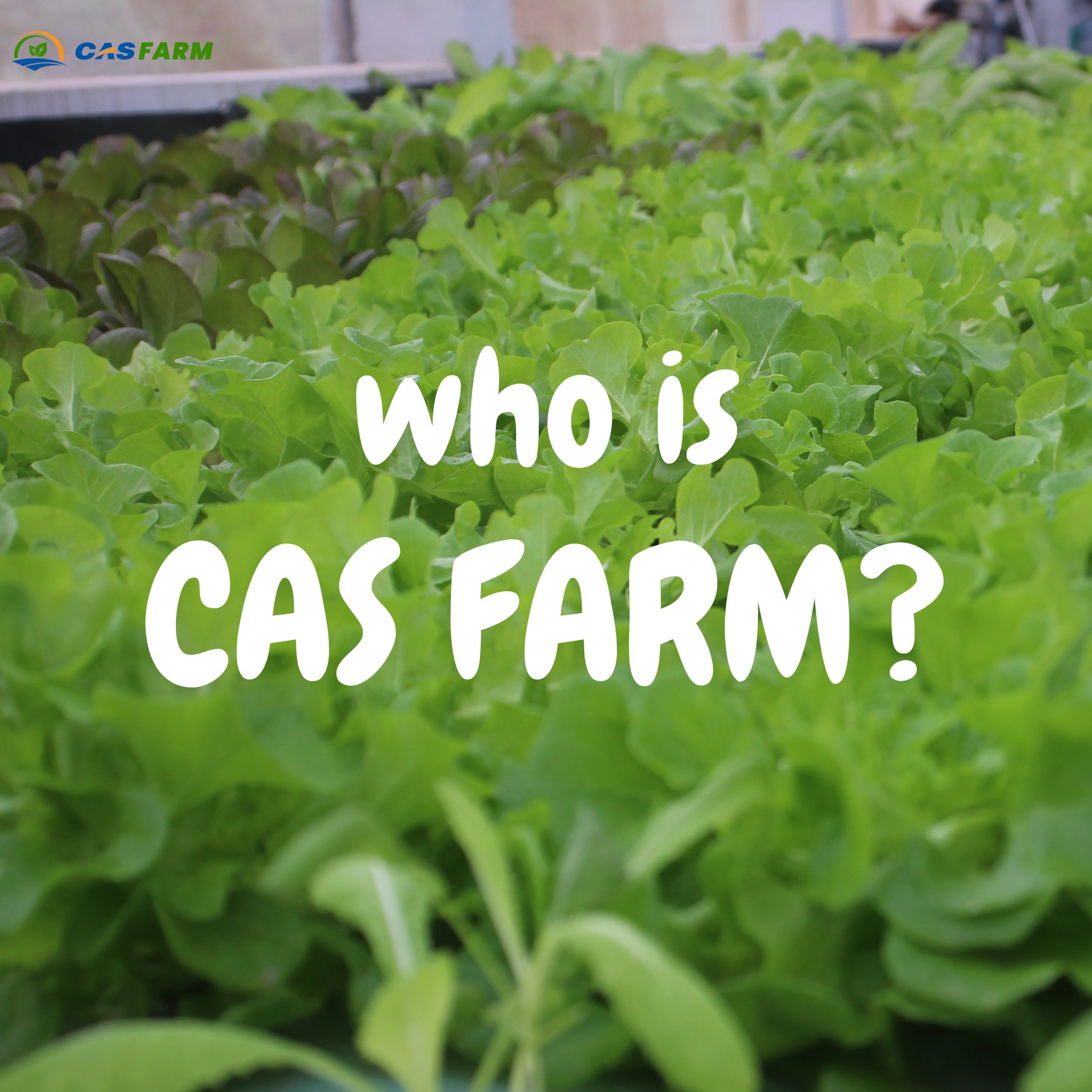 CASFarm - CAS FARM HƯỚNG ĐẾN MỘT NỀN NÔNG NGHIỆP BỀN VỮNG 🌿 CAS Farm là ...