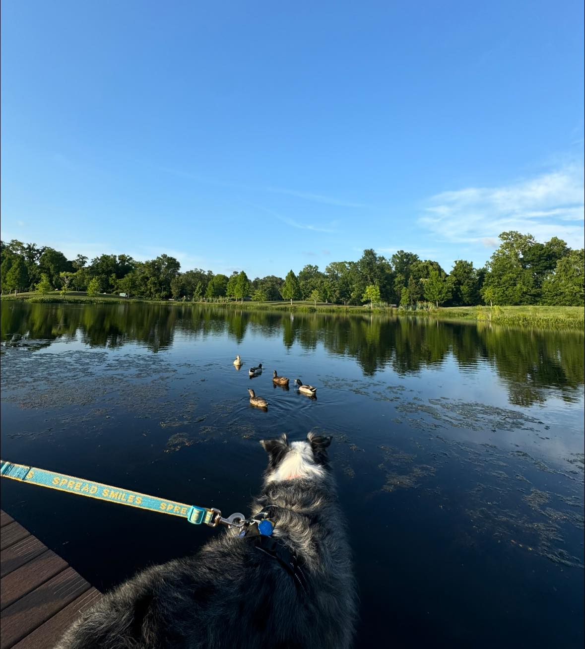 Moncus Park | Lafayette LA