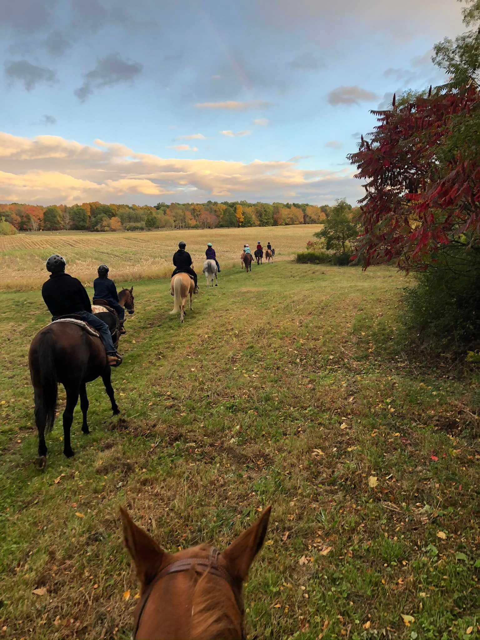 The Nunda Ranch - 🍁 Fall Trail Rides are here! 🍁 What... | Facebook